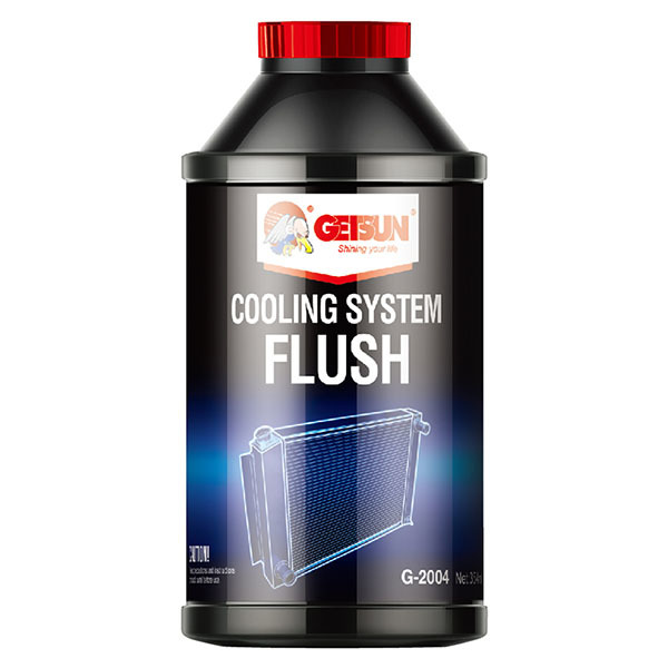 6944259839278COOLING SYSTEM FLUSH (CAJA 24 X 354 ML)