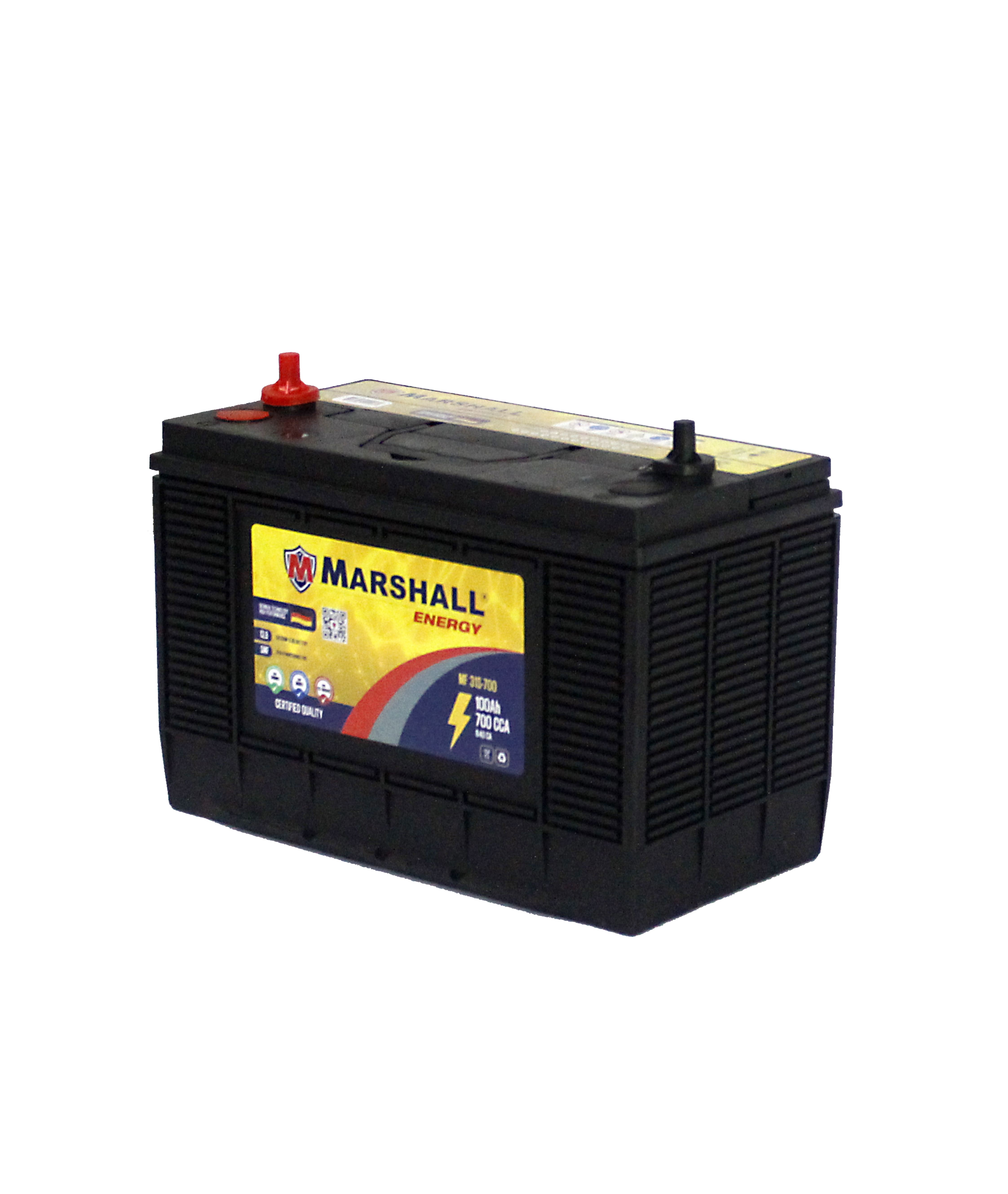 BATERIA C31S-700 100 Ah - 700 CCA