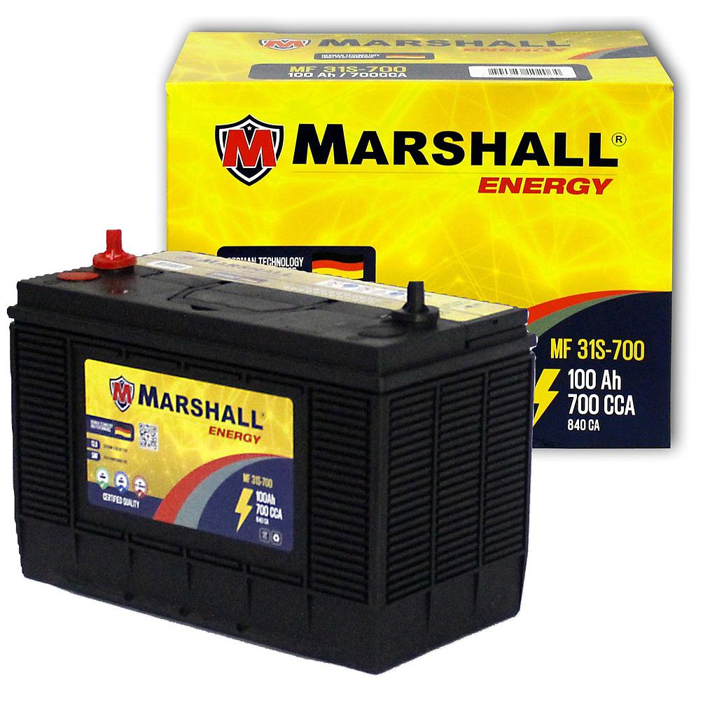 BATERIA C31S-700 CLASE 8, UN 2794 - 100 Ah, 700 CCA