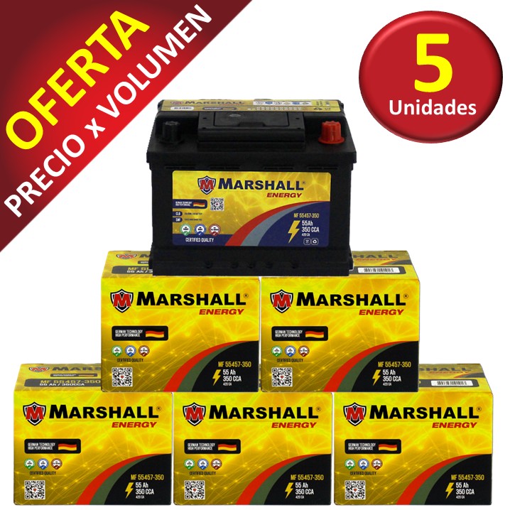 PROMOx5 BAT. MF55457-350 CLASE 8, UN 2794 - 55 Ah, 350 CCA